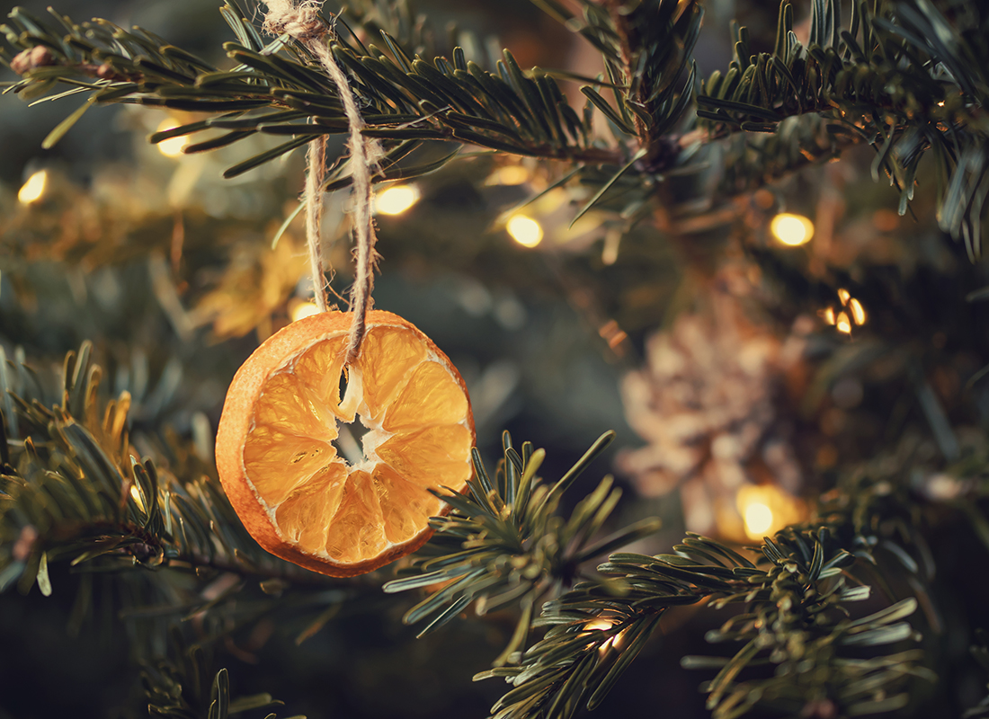 Weihnachtsbaum mit Orangenscheiben [Foto: AdobeStock_Галина Сандалова]