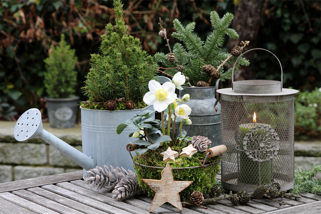 Weihnachtsdeko im Garten stimmungsvoll gestalten GartenFlora