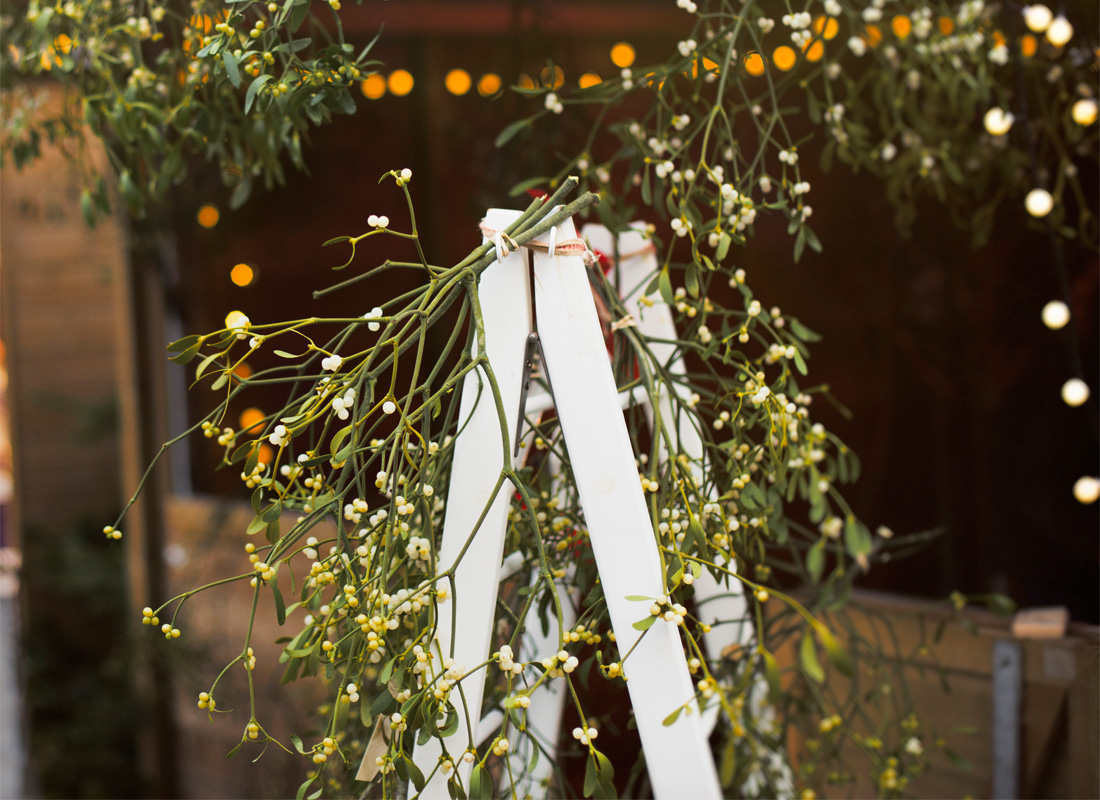 Weihnachtsdeko für den Garten: Mistelzweige sind ein klassischer Weihnachtsschmuck. Foto: iStock_Juana Mendoza