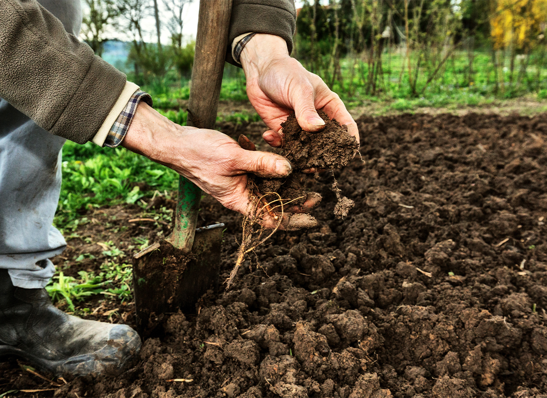 Gartenboden verbessern Foto: AdobeStock_Ingo_Bartussek