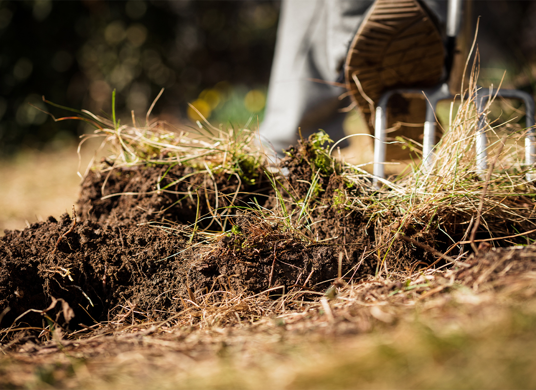 Gartenboden verbessern Foto: AdobeStock_M.Dörr & M.Frommherz