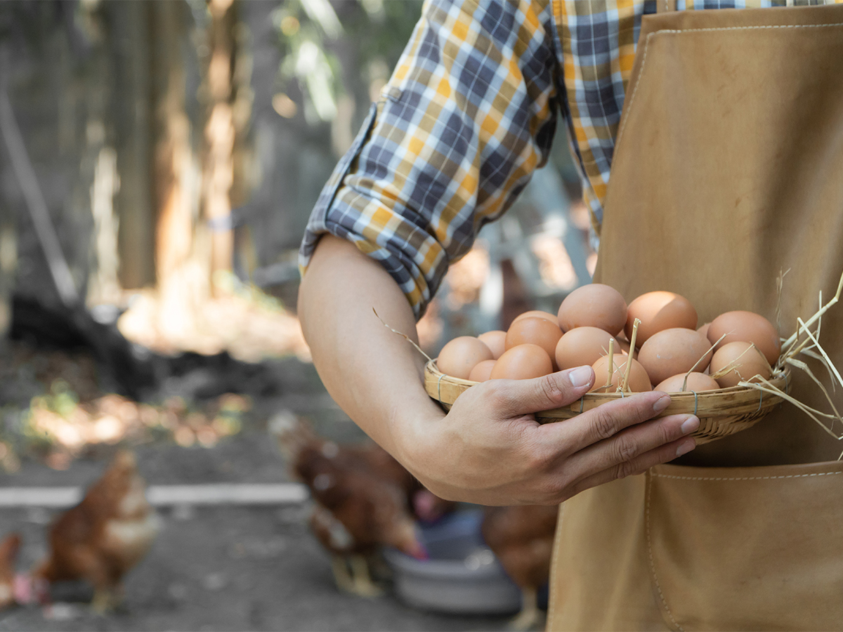 Foto: AdobeStock_Prot