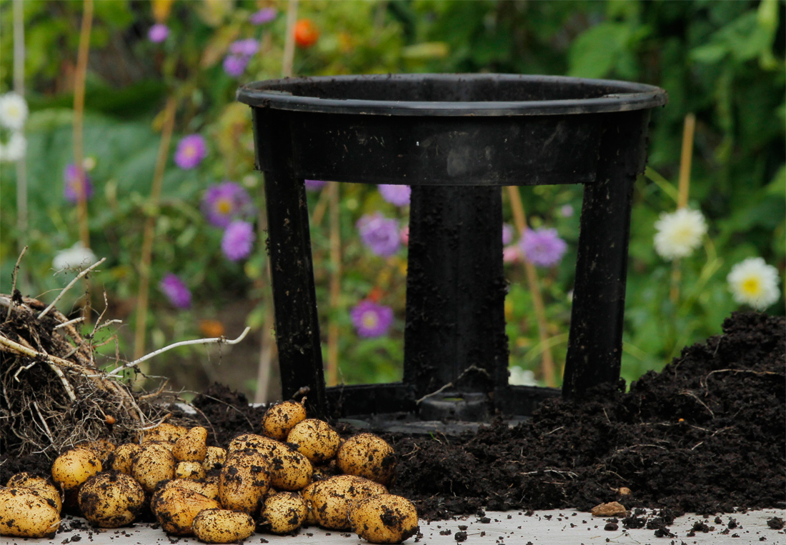 Kartoffeln im Topf anbauen - Potato Pot, Foto: GartenFlora