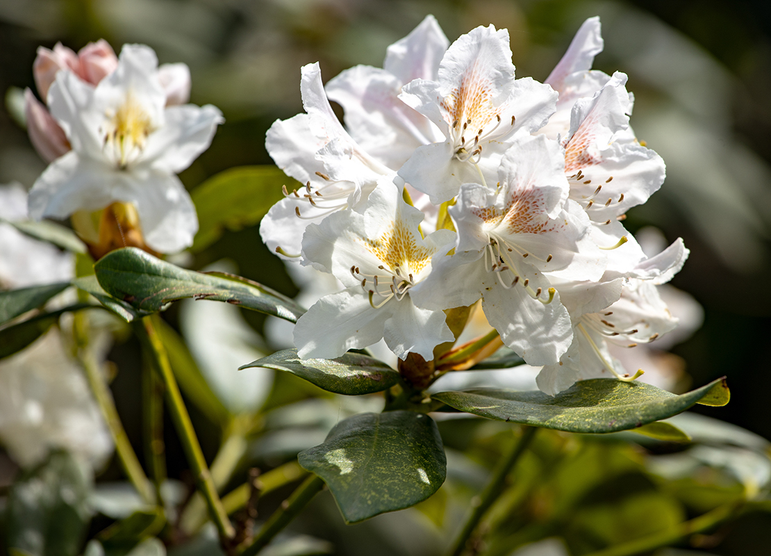 Foto: AdobeStock_fotoatelier.hamburg