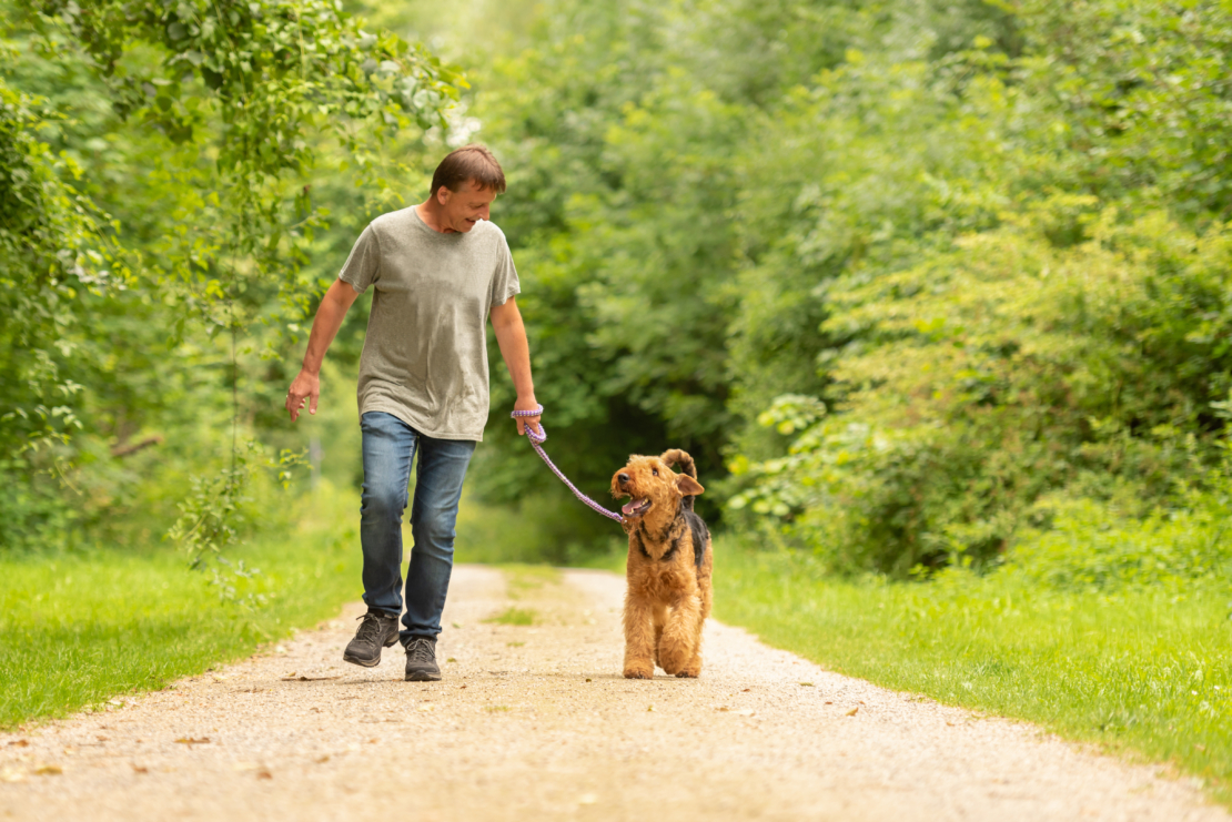 Spaziergang Mensch und Hund