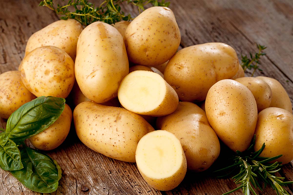 Schneller Kartoffelsalat wird am besten mit festkochenden Kartoffeln wie diesen zubereitet [Foto: AdobeStock_Karepa]