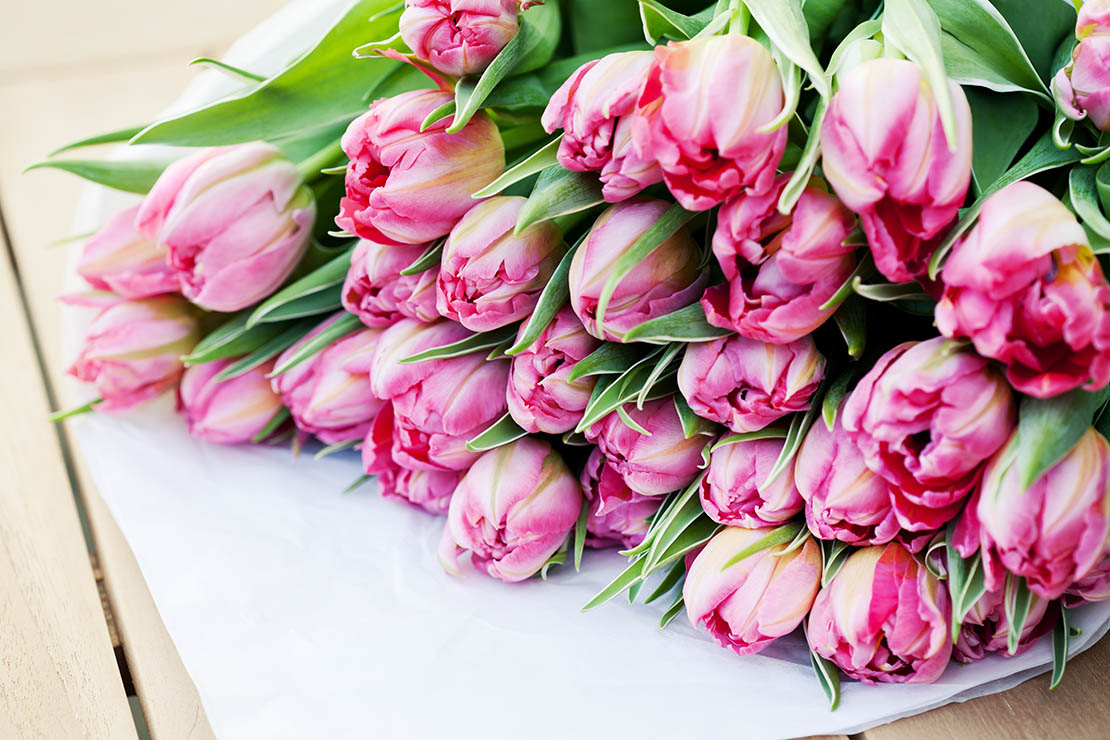 Strauß pinker Tulpen. Foto: AdobeStock_N.Van Doninck
