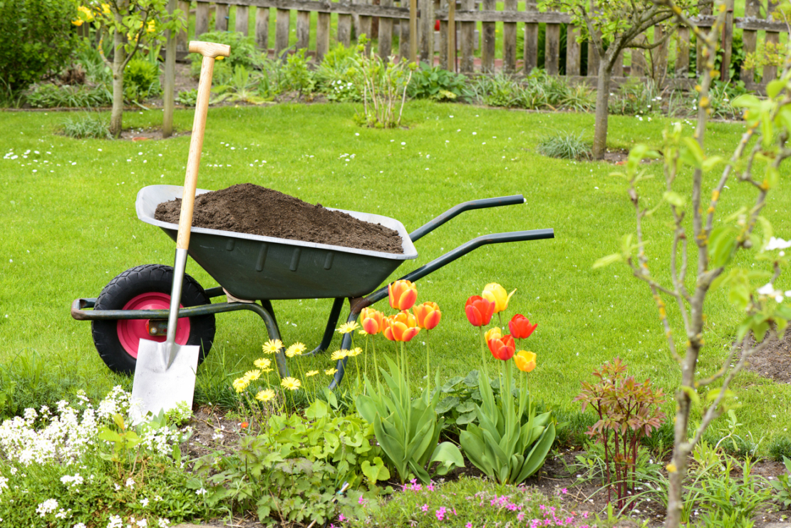 Kompost kommt im Frühjahr auch dem Rasen zugute. Foto: iStock_schulzie