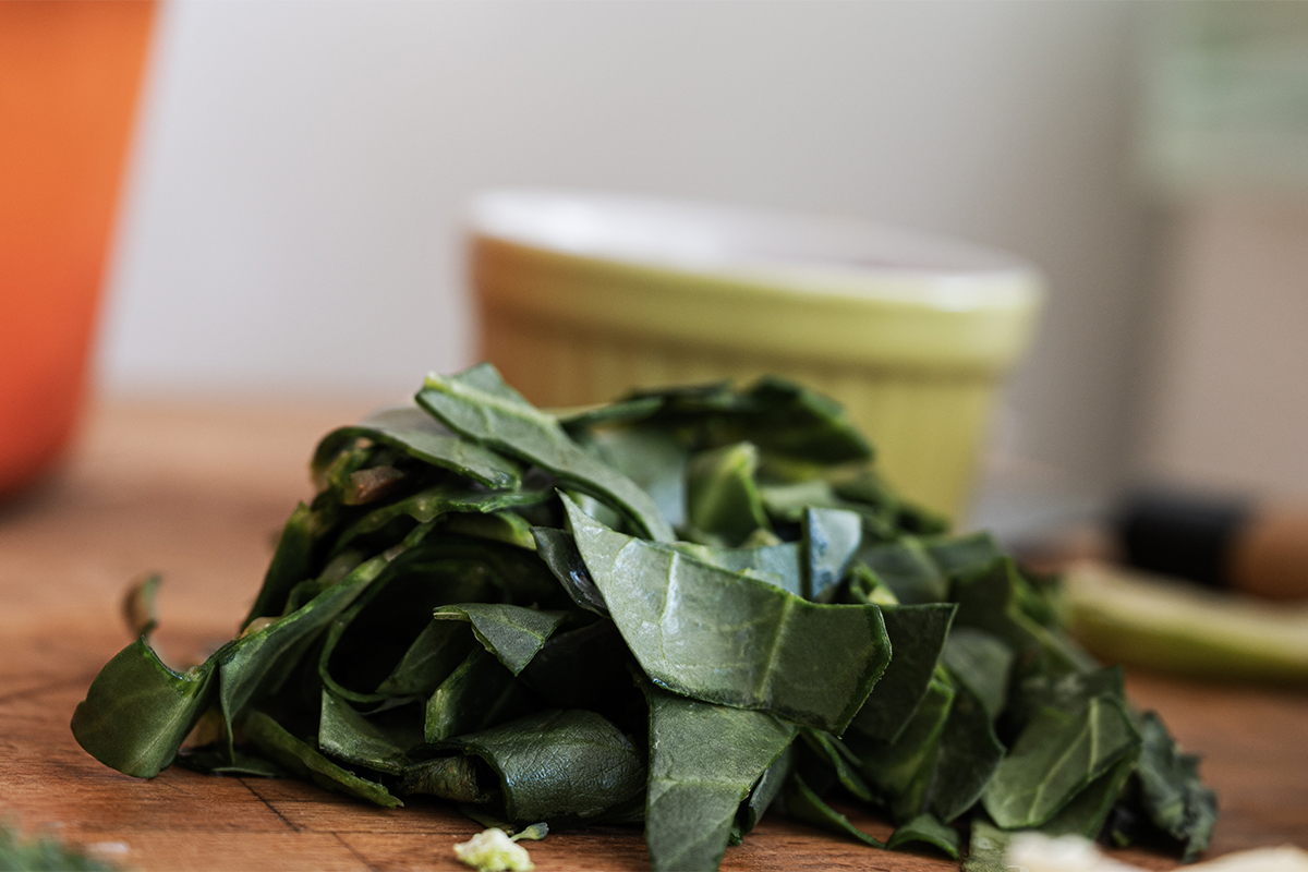 Mangold-Lachs-Quiche: Knusprige Ofenverführung | GartenFlora Mangold-Lachs-Quiche: Knusprige Ofenverführung | GartenFlora