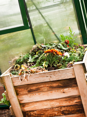 Richtig kompostieren Foto: AdobeStock_Pixelot