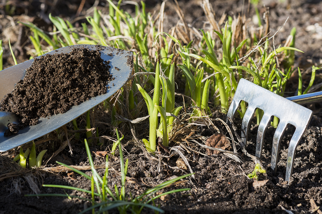 Richtig kompostieren Foto: AdobeStock_schulzie