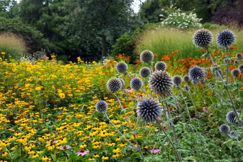 bienenfreundliches Staudenbeet [Foto: AdobeStock_Doris Gräf]