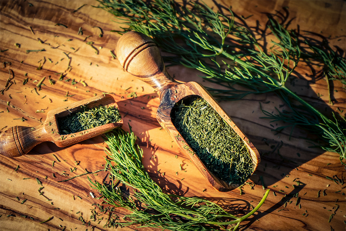 Dill Foto: AdobeStock_Steidi