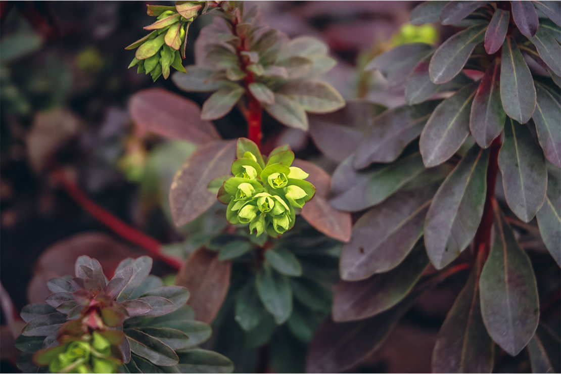 Foto: AdobeStock_Fotokon