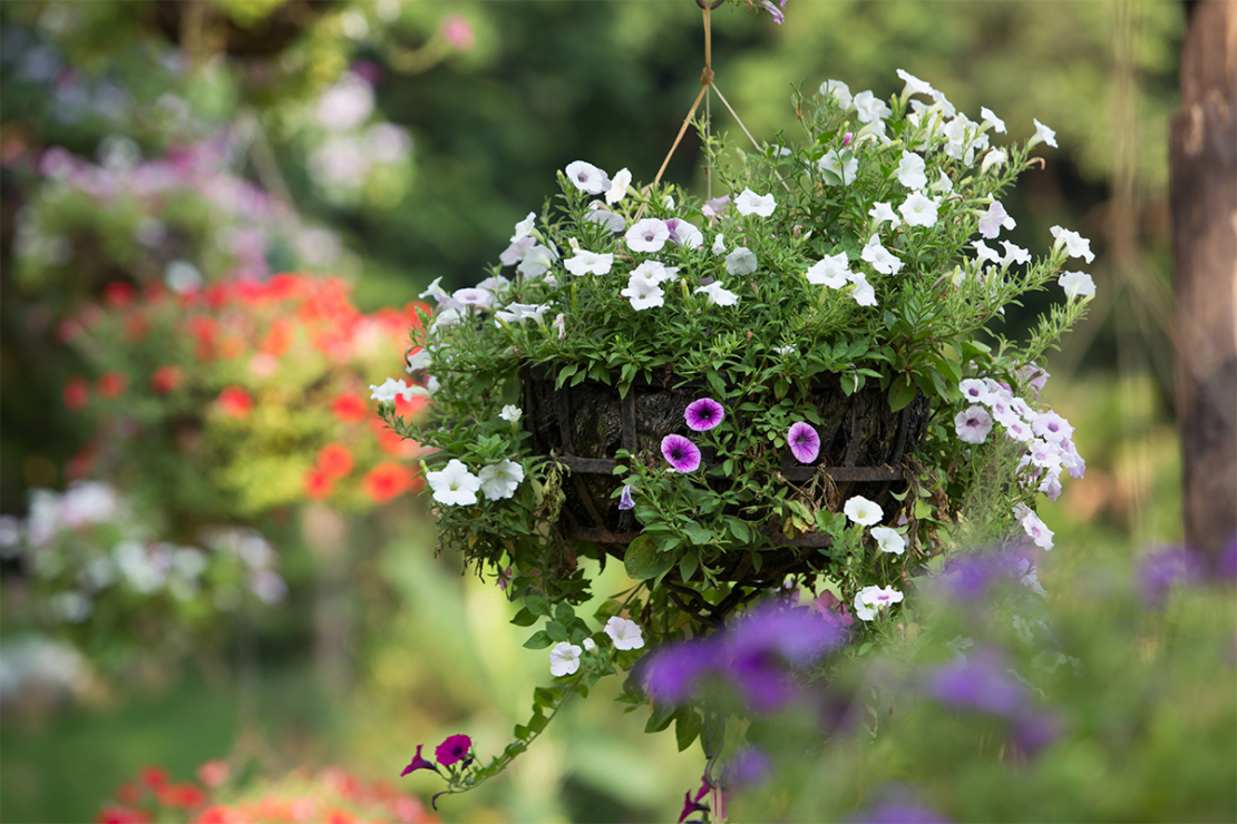 kleinen Garten gestalten Foto: AdobeStock_rufous