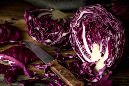 Blaukraut wird geschnitten Foto: AdobeStock_katinkah