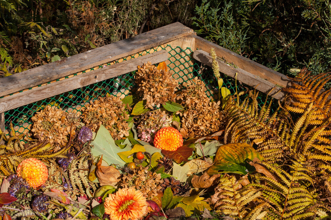 Garten im November – Komposthaufen mit Pflanzenresten. Foto: AdobeStock_jbphotographylt