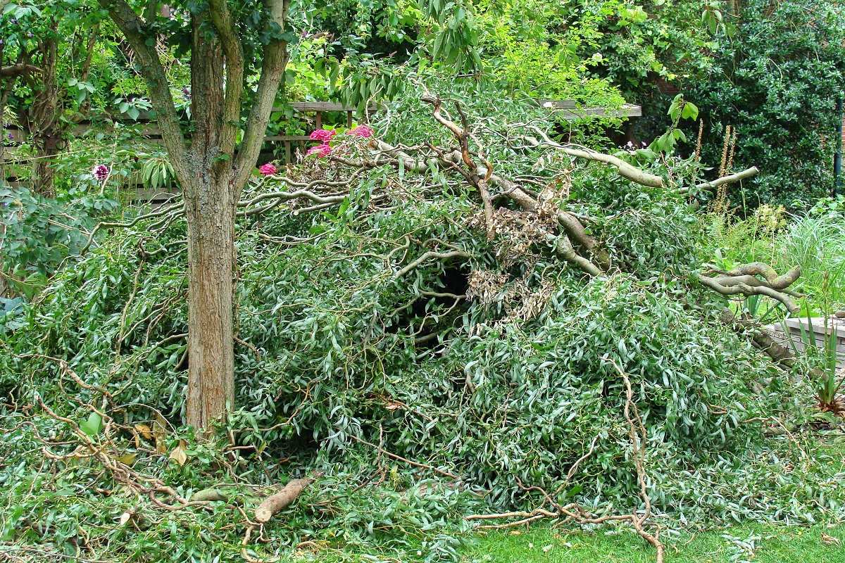 Schnittgut aus dem Garten Ideen zur Verwendung GartenFlora