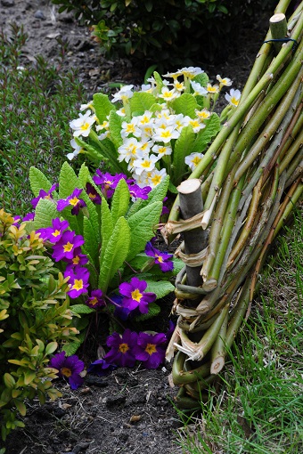 Selbstgebauter Weidenzaun aus Schnittgut vor einem Beet mit Frühblühern