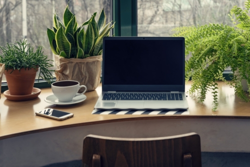 Schreibtisch mit Laptop, Stuhl und Büropflanzen