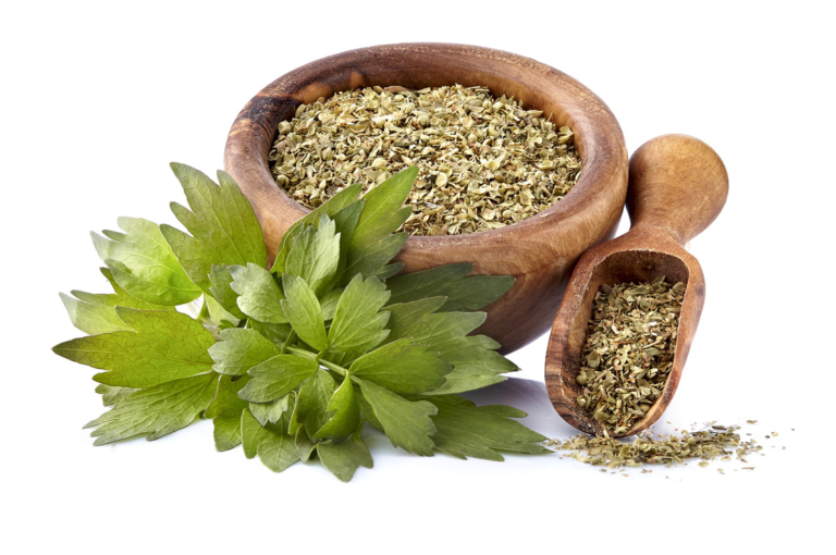 Liebstöckel (Maggikraut) pflanzen, pflegen & ernten GartenFlora