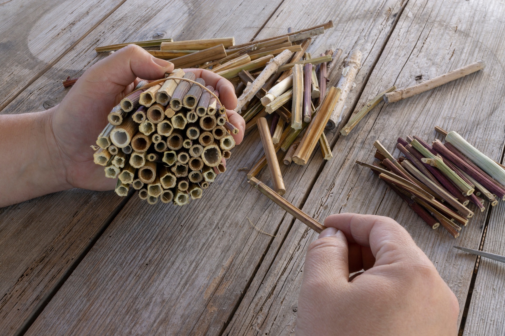 Eine Person bindet hohle Halme und Stängel zu einer Nisthilfe für Insekten zusammen. Auf einer hölzernen Fläche liegen weitere Stängel zur Verarbeitung bereit, während zwei Hände im Vordergrund bei der Bastelarbeit zu sehen sind.