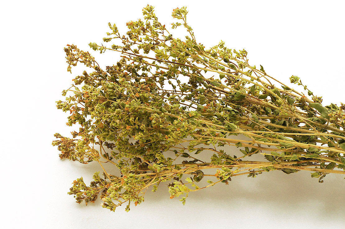 Es lohnt sich, Oregano rechtzeitig zu trocknen, denn sein Aroma bleibt so gut erhalten.