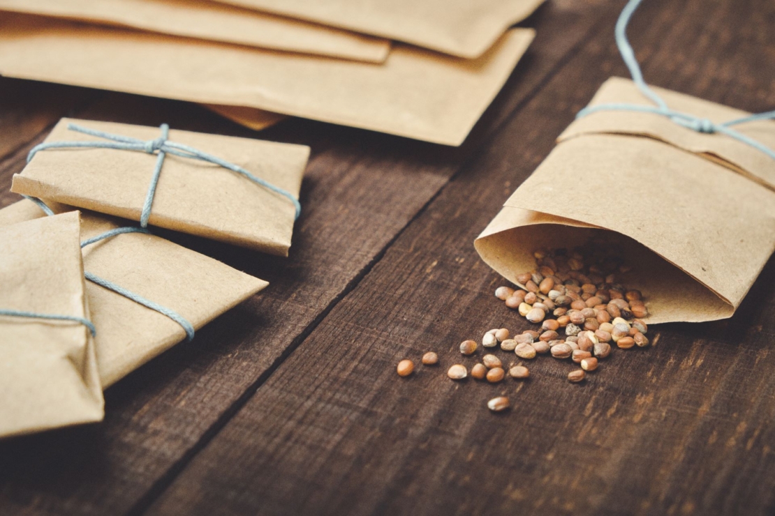 Aus einem geöffneten, beigefarbenen Papiertütchen leicht verstreute Radieschensamen auf einem Holztisch. Weiter links im Bild weitere verschlossene Papiertütchen und im Hintergrund weiteres Papier, aus dem man Papiertütchen falten könnte.