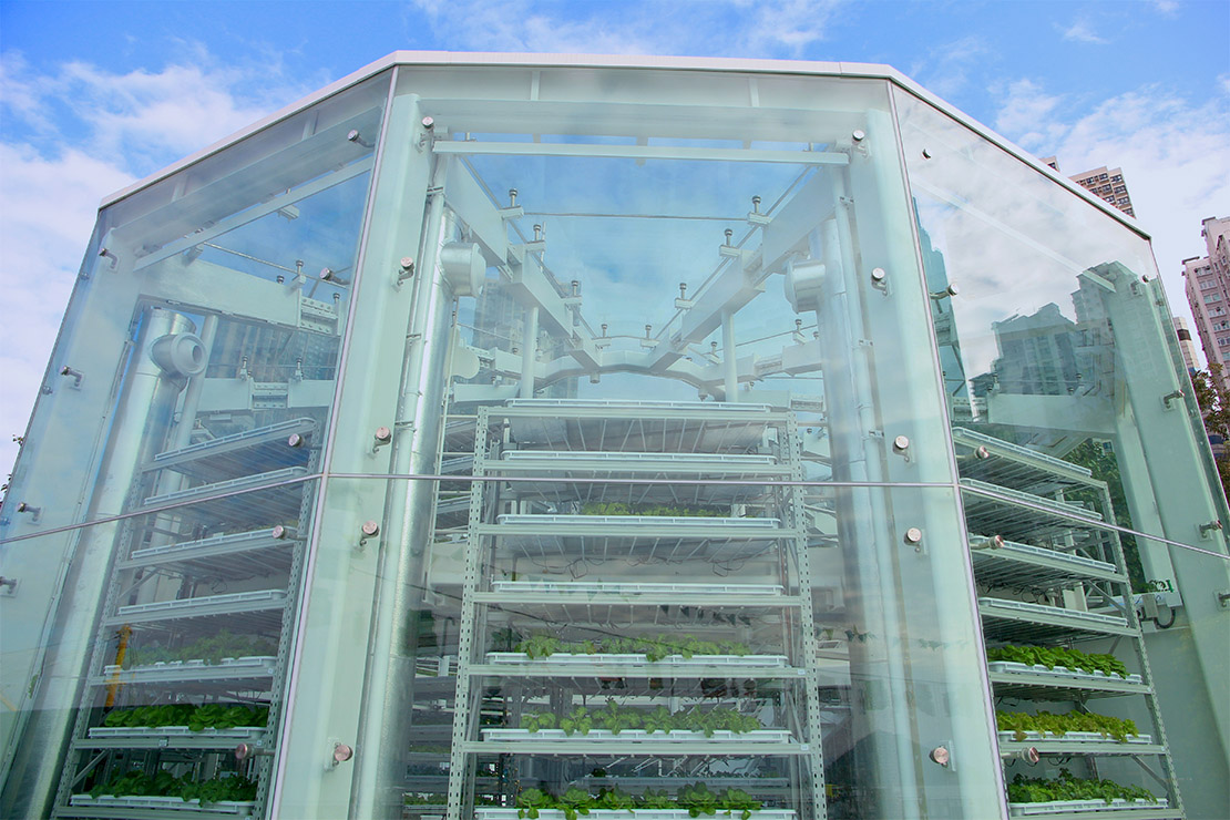 Vertical Farming: Gewächshaus in Hong Kong. Foto: AdobeStock_ AdobeStock_marcuspon