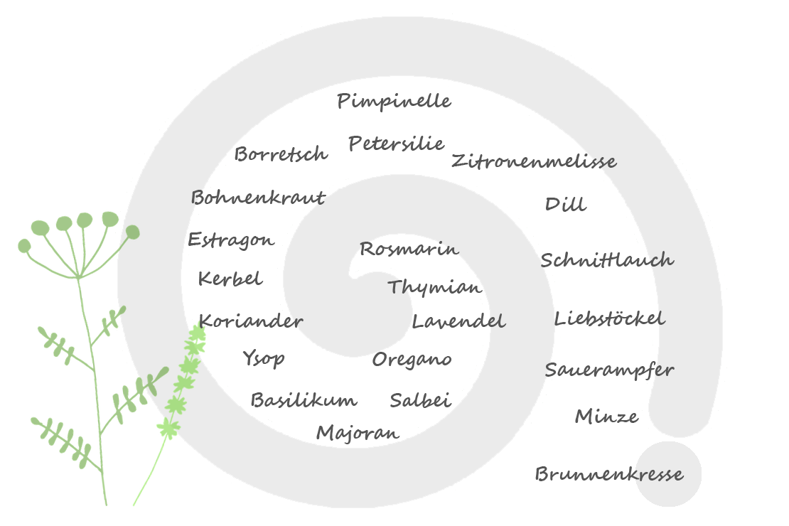 Pflanzen werden passend zu ihren Standortansprüchen in der Kräuterspirale verteilt. 