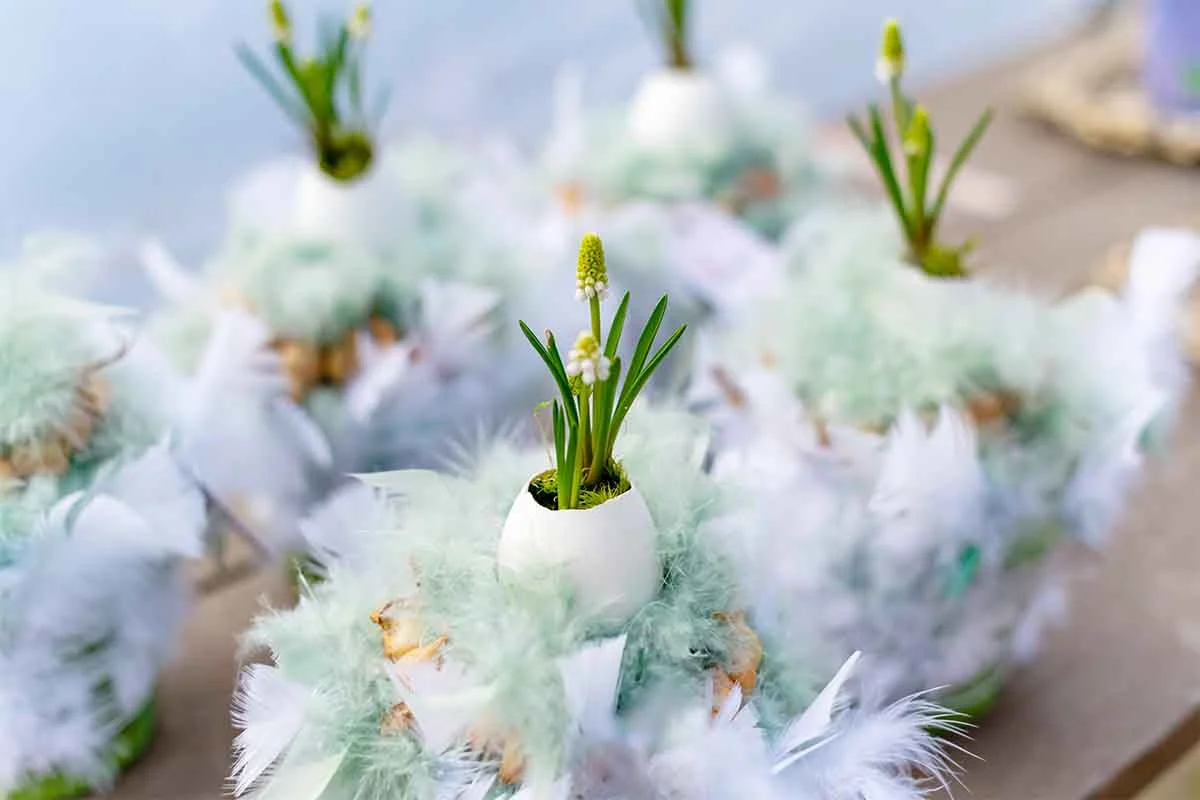 Osterdeko mit Eierschalen [Foto: AdobeStock_js-photo]