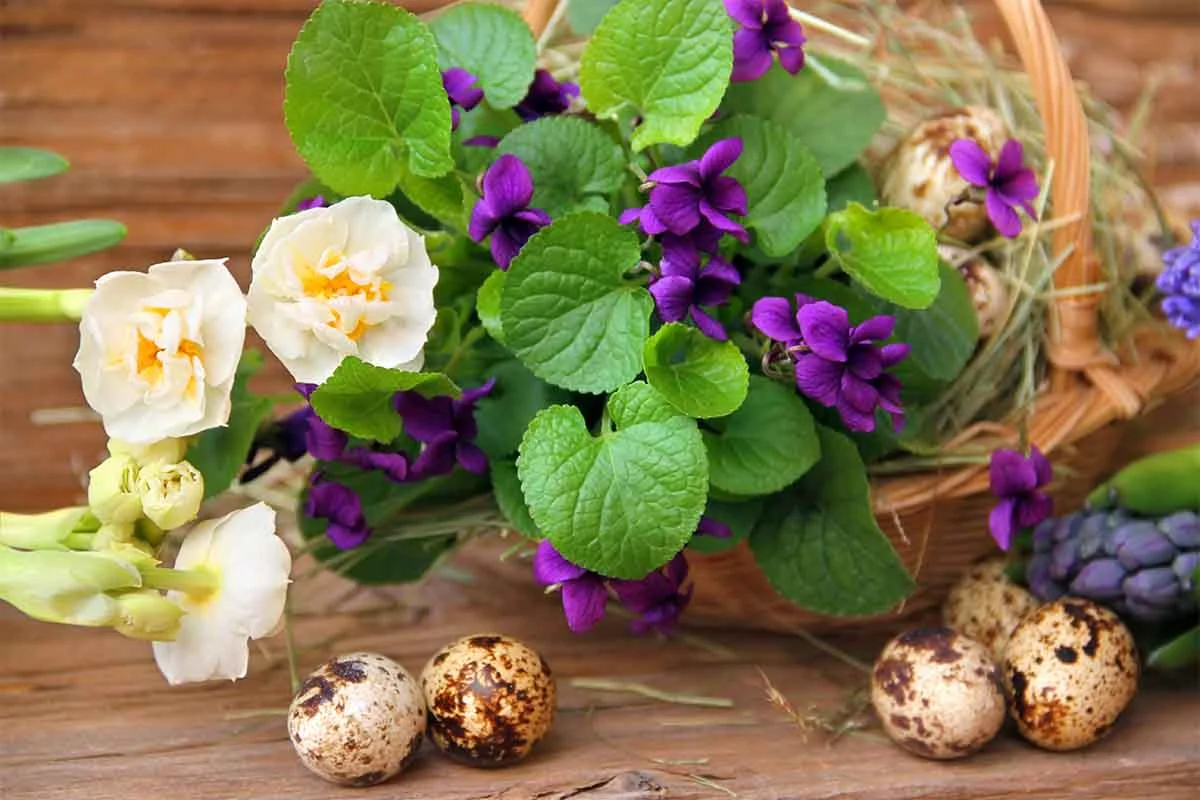 Osterkörbchen kombiniert mit Blumen [Foto: AdobeStock_Farbkombinat]