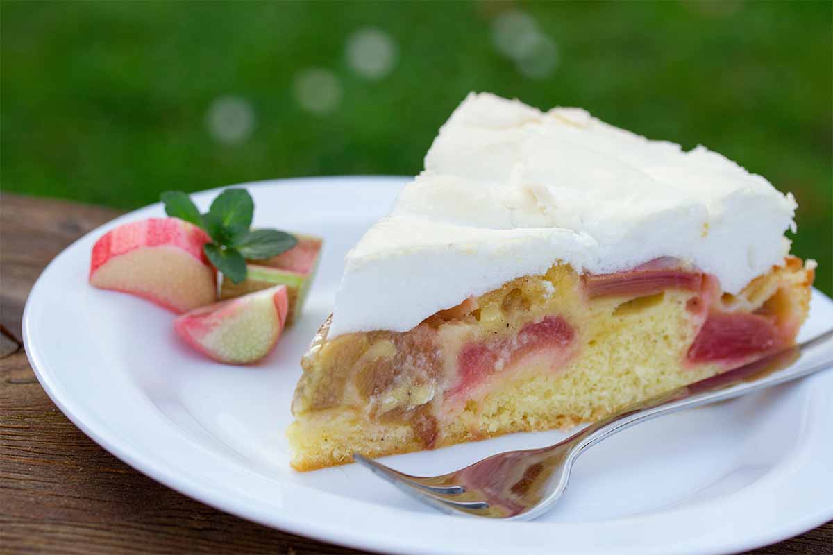 Rhabarberkuchen mit Baiser [Foto: AdobeStock_juefraphoto]