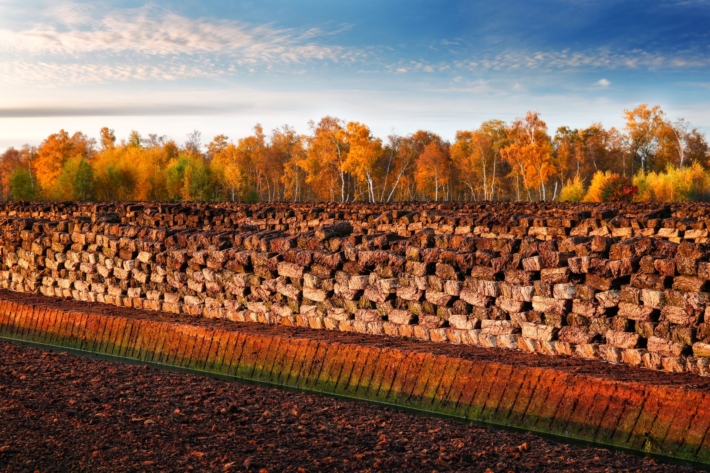 Reihen geschnittenen Torfs in einem Abbaugebiet in einem Torfmoor in Nordwestdeutschland. [Foto: AdobeStock_SoilPaparazzi]