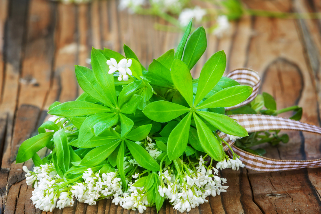 Waldmeistersirup Foto: AdobeStock_fotoknips