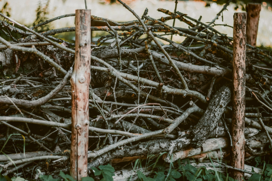 Nahaufnahme einer Benjeshecke. Foto: AdobeStock_URS.INHO