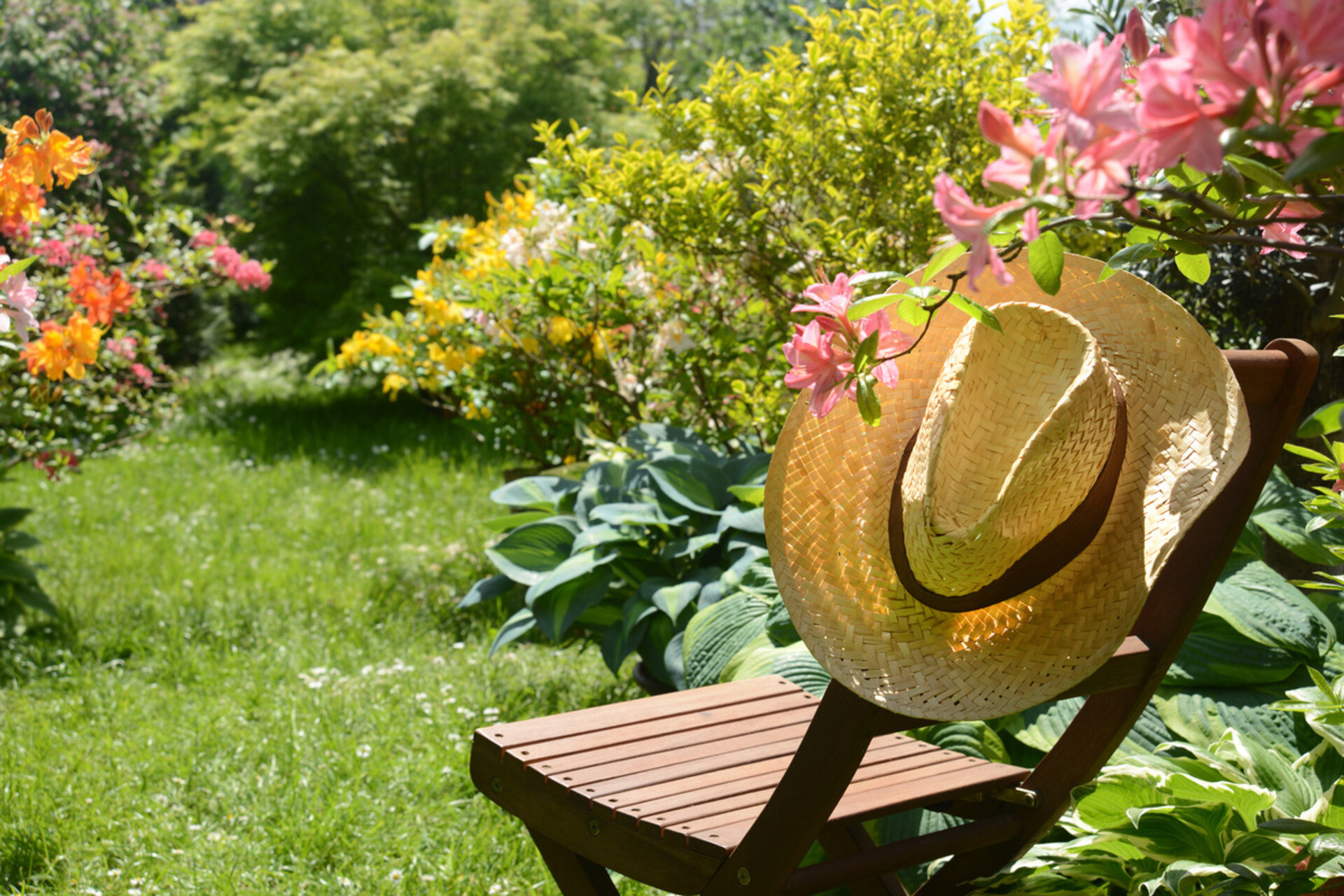 Garten im Juni Was Sie jetzt nicht vergessen sollten GartenFlora