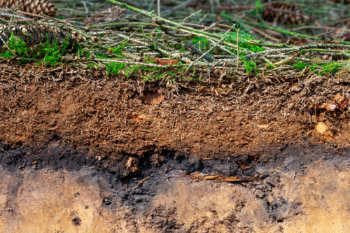 Bodenschichten im Querschnitt. Foto: AdobeStock_SoilPaparazzi