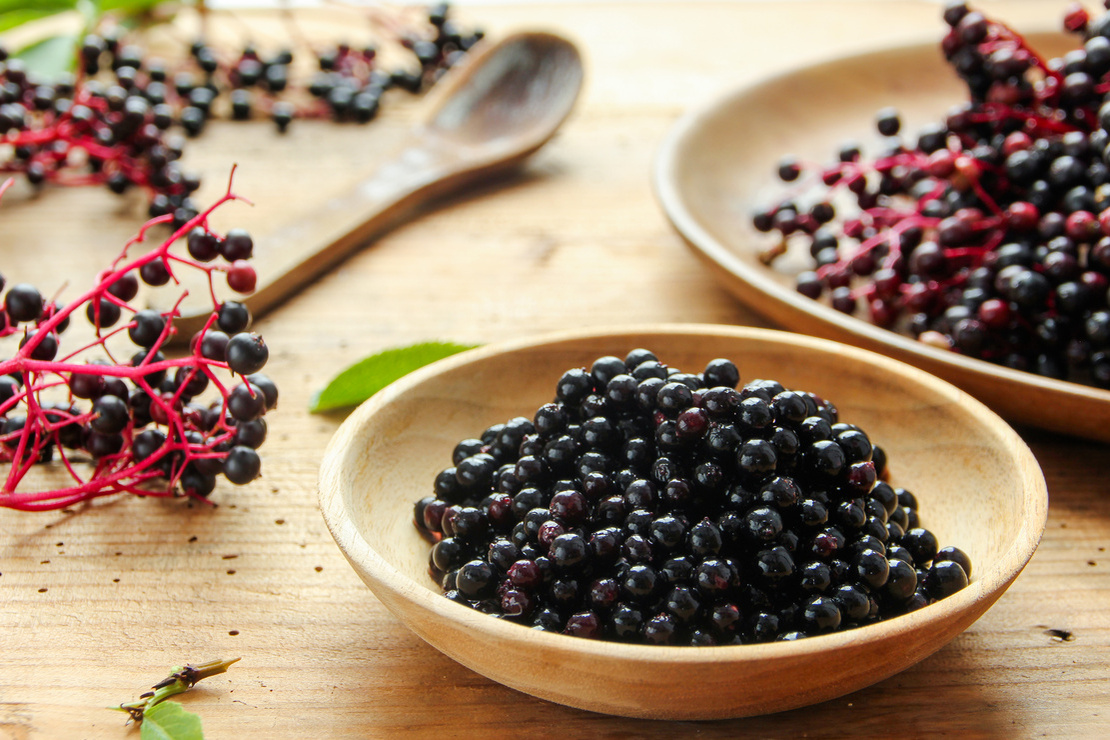 Schwarze Holunderbeeren in Holzgefäß auf einem Holztisch. Foto: AdobeStock_eflstudioart