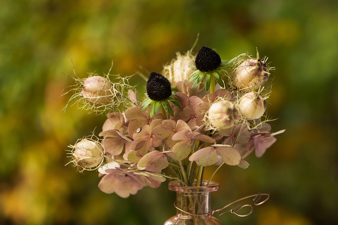 Garten im September: Kleiner Trockenblumenstrauß mit Hortensien. [Foto: AdobeStock_DoraZett]