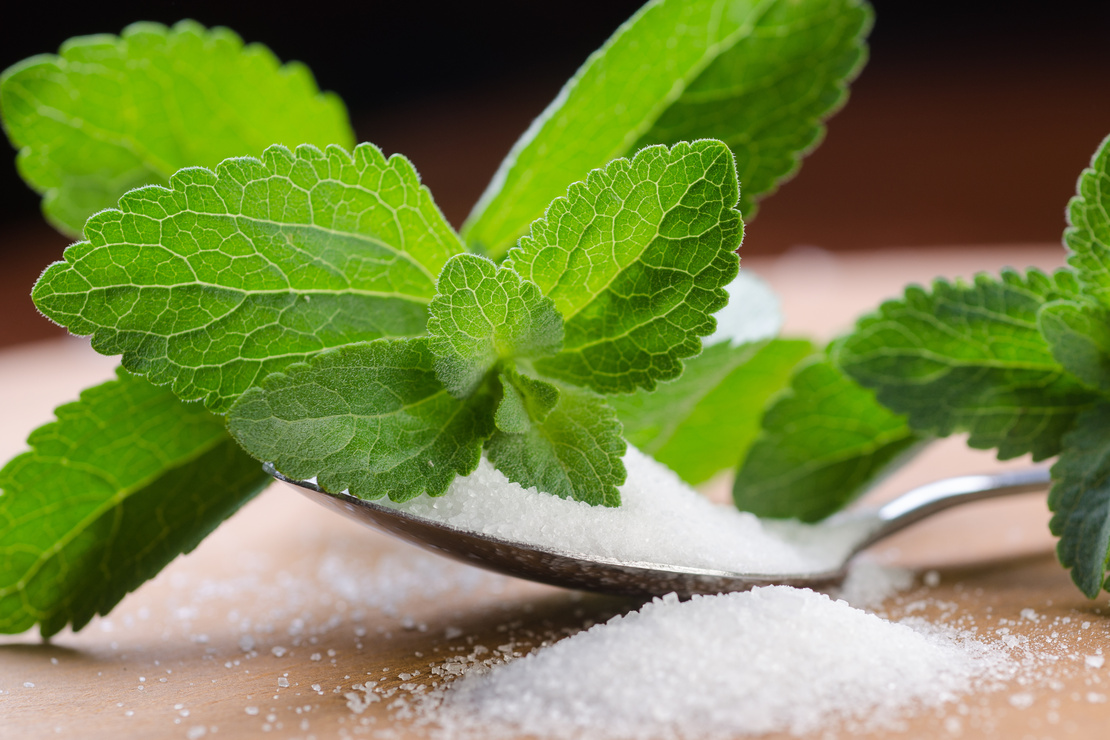 Löffel mit Steviapulver auf einem Tisch. Darauf liegt der Zweig einer Steviapflanze. Foto: AdobeStock_Daniele Depascale