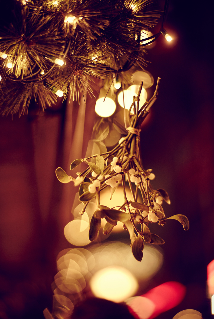 Kleiner Mistelzweig an einem geschmückten Tannenbaum. Foto: AdobeStock_Jochen Seelhammer