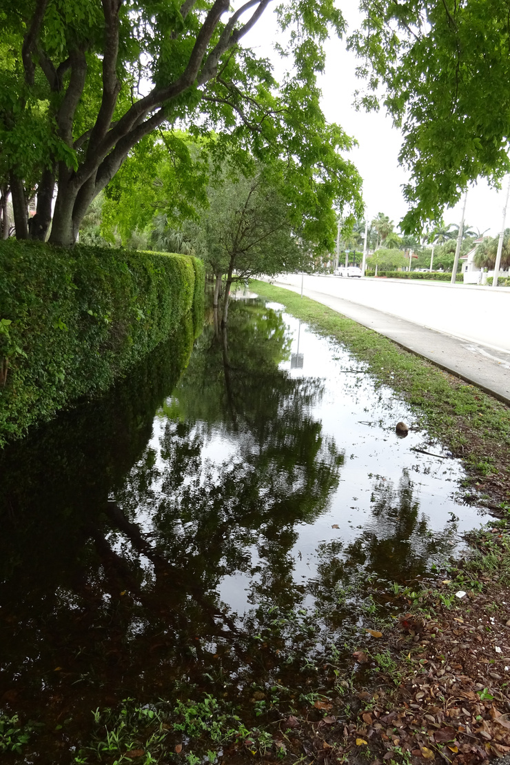 Schwammstadt – Sich stauendes Wasser am Straßenrand. Foto: AdobeStock_LogoStockimages