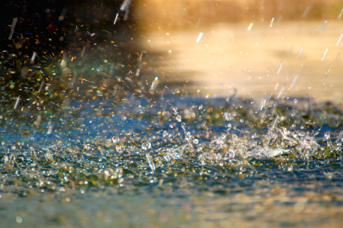 Regenwasser tropft auf einen Asphatlboden und staut sich. Foto: AdobeStock_kajani