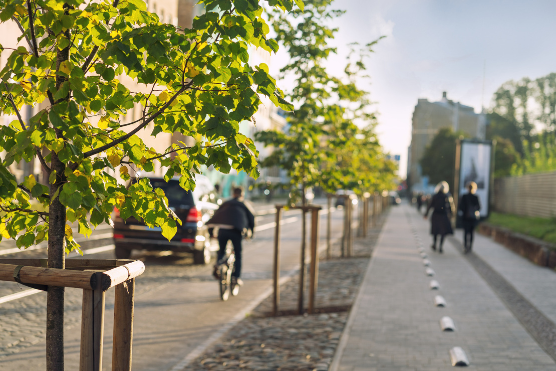 Schwammstadt – Straßenansicht: Alleebäume, zwei Fußgänger gehen auf der rechten Seite, links ein Auto und ein Radfahrer auf der Straße. Foto: AdobeStock_victorgrow