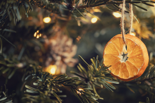 Orangenschalen hängen getrocknet an Weihnachtsbaum [Foto: AdobeStock_Галина Сандалова]