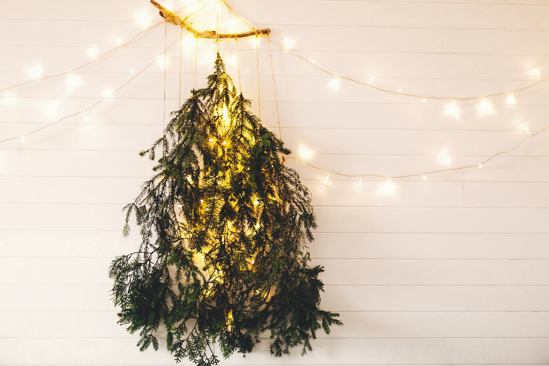 Ein mit Lichtern geschmückter Tannenzweig, kopfüber vor einer weißen Wand aufgehängt. Foto: AdobeStock_sonyachny