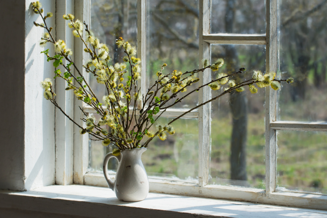Weidenkätzchenzweige in einer weißen Vase vor einem Fenster. Foto: AdobeStock_Maya Kruchancova