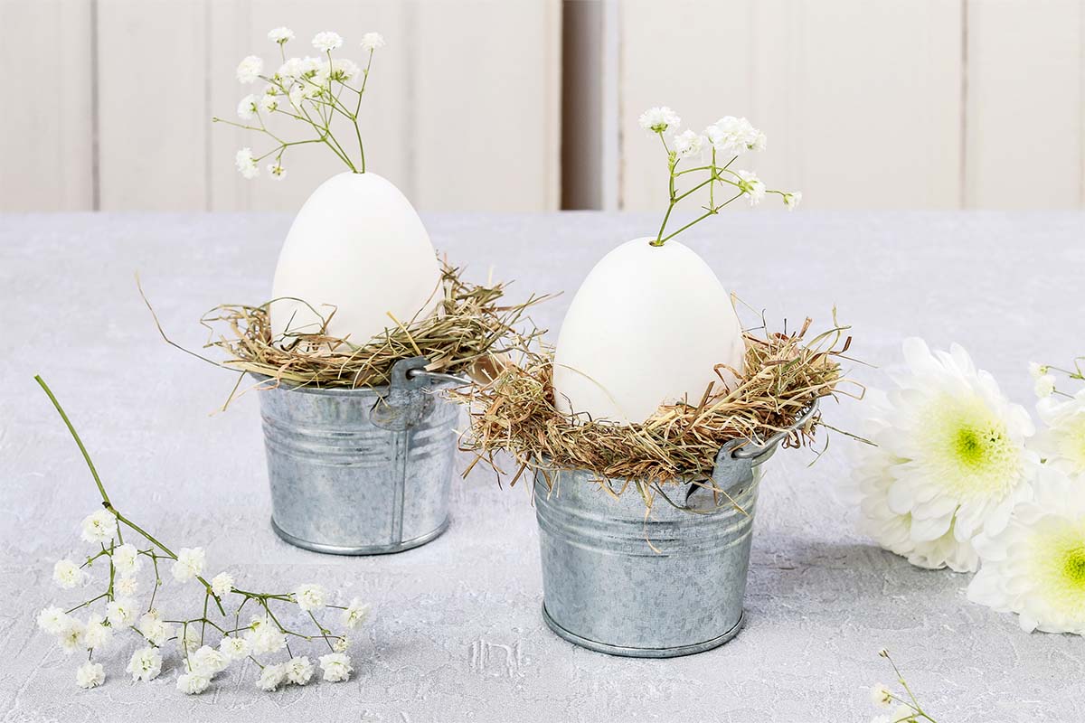 Basteln mit Eierschalen: Gänseeier mit Schleierkraut stehen auf metallenen Blumentöpfen mit Heu [Foto: AdobeStock_agneskantaruk]