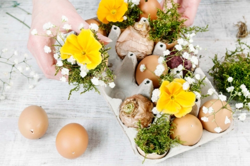 Basteln mit Eierschalen und Blumen [Foto: AdobeStock_agneskantaruk]